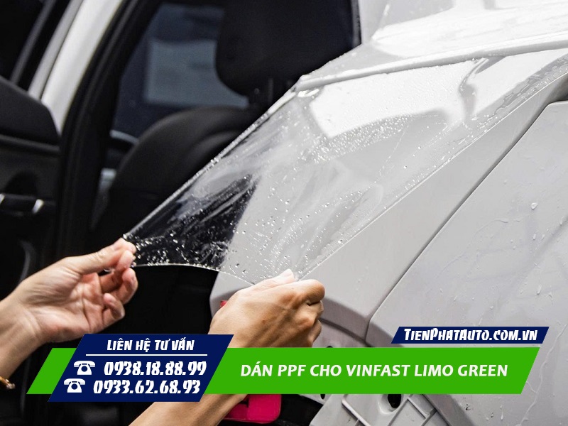 Tiến Phát Auto chuyên thi công dán PPF cho Vinfast Limo Green