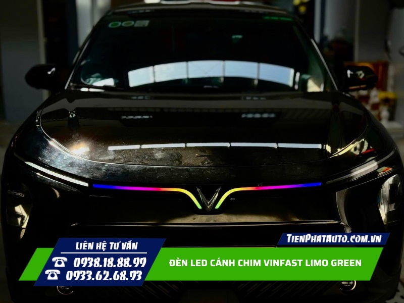 LED cánh chim trước có thể chỉnh màu sắc và hiệu ứng tùy thích
