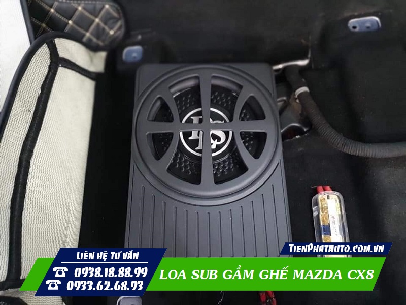 Tiến Phát Auto chuyên cung cấp loa sub gầm ghế giá tốt nhất TPHCM