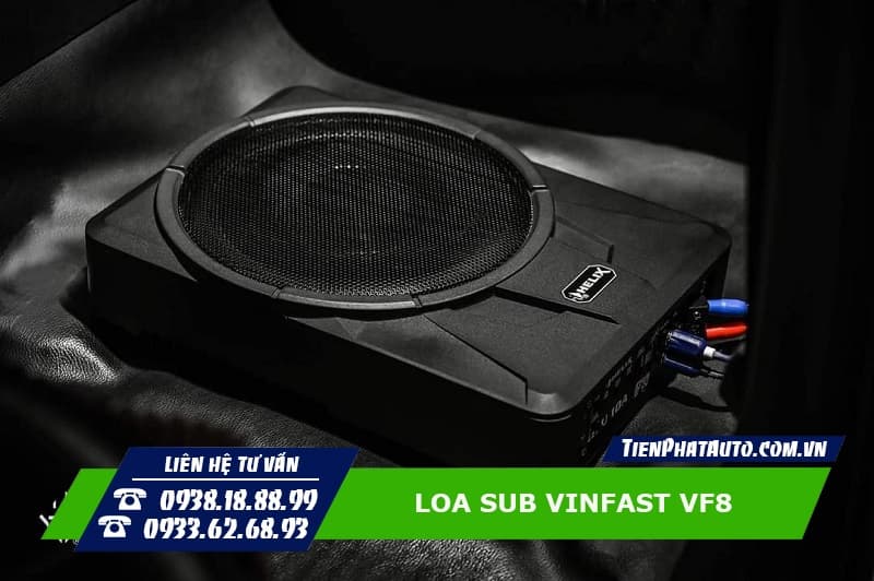 Loa Sub Vinfast VF8